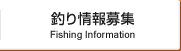 最新釣り情報募集